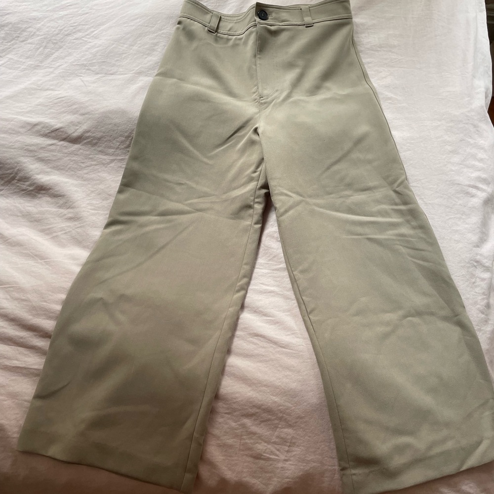 Zara Marine Pants